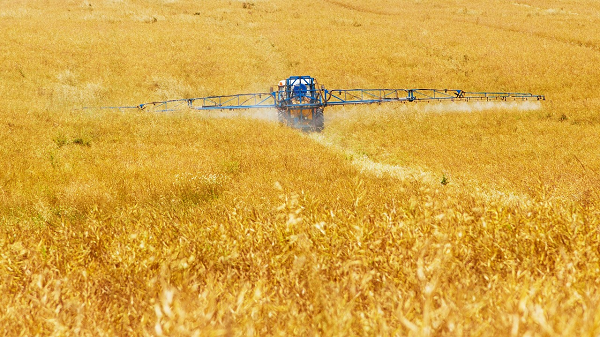 Agribusiness